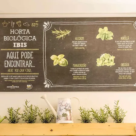 Ibis Centro Sao Bento Готель 2*